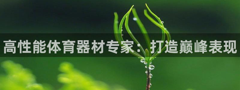 耀世天下的是什么意思：高性能体育器材专家：打造巅峰表