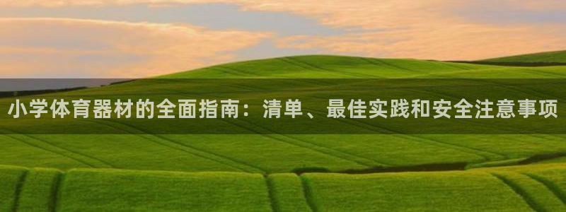 耀世集团是干嘛的企业啊：小学体育器材的全面指南：清单、最佳实