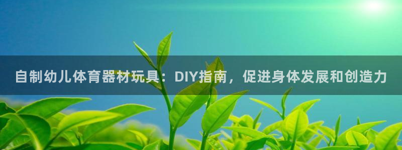 耀世是什么车：自制幼儿体育器材玩具：DIY指南，促进