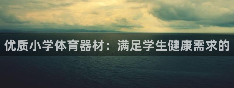 耀世集团董事长:优质小学体育器材:满足学生健康需求的