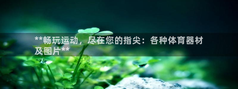 耀世平台注册:**畅玩运动,尽在您的指尖:各种体育器材
及图