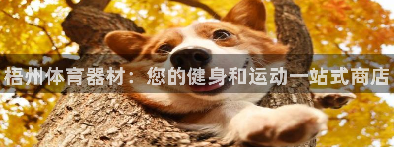 耀世平台注册开户需要什么:梧州体育器材:您的健身和运动一站式