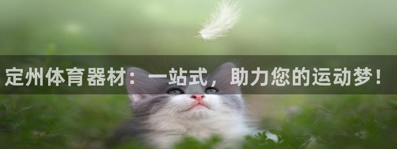 耀世集团董事长简介:定州体育器材:一站式,助力您的运动梦!