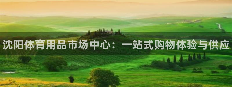 耀世平台日7O777:沈阳体育用品市场中心:一站式购物体验与